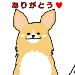 [LINEスタンプ] 杢日和 ポメヨンの動くスタンプ