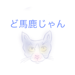 [LINEスタンプ] 遠州ふうこ