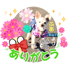 [LINEスタンプ] dog ＆家族