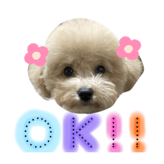 [LINEスタンプ] といぷーどるのうりくん