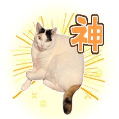 [LINEスタンプ] のんびり猫えりんぎのゆるスタンプ2