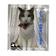[LINEスタンプ] 我が家の家（part12）
