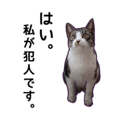 [LINEスタンプ] 気怠い猫ども