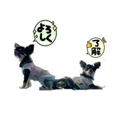 [LINEスタンプ] さくこた、スタンプだって