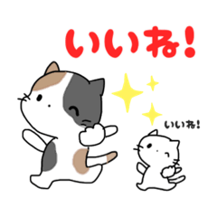 [LINEスタンプ] かわいい三毛猫 日常会話編