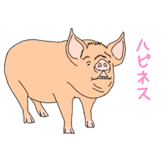 [LINEスタンプ] 中ヨークと仲間たち