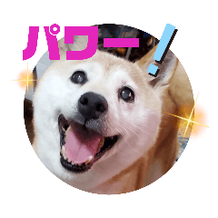 [LINEスタンプ] みんなと一緒21