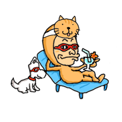 [LINEスタンプ] 猫のスタンプで日常会話