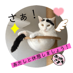 [LINEスタンプ] 雨汐ちゃんスタンプ2022
