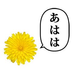 [LINEスタンプ] 黄色い お花 と ふきだしの画像（メイン）