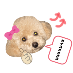 [LINEスタンプ] うりくん.02