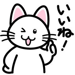 [LINEスタンプ] 表情豊かな白猫スタンプ