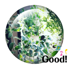 [LINEスタンプ] Botanicalスタンプ