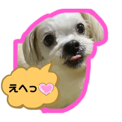 [LINEスタンプ] ワンコ系女子ハナちゃんのキモチ2