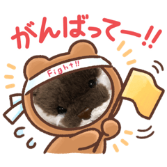 [LINEスタンプ] かわうそ兄弟の日常