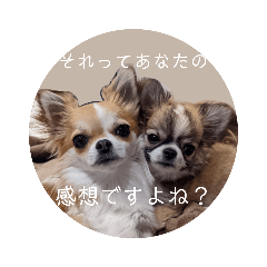 [LINEスタンプ] きなぽん1