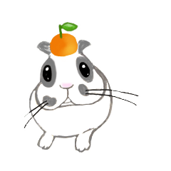 [LINEスタンプ] うさぎのまめさんにのせてみた