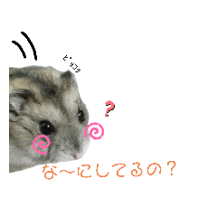 [LINEスタンプ] パティーちゃんスタンプ