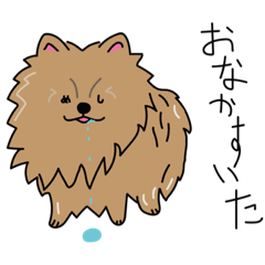 [LINEスタンプ] 表情豊かなポメラニアン1