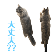 [LINEスタンプ] ハウルとチクワ