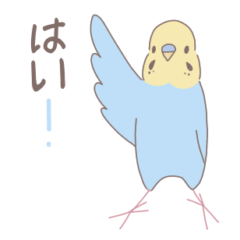 [LINEスタンプ] 敬語デカ文字！セキセイインコのスタンプ