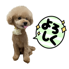[LINEスタンプ] PKM☆
