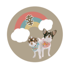 [LINEスタンプ] ♡こたろう＆ぷに2