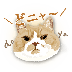 [LINEスタンプ] nukkoのぬっこぬこスタンプ