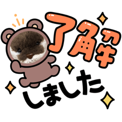 [LINEスタンプ] かわうそ兄弟の日常2