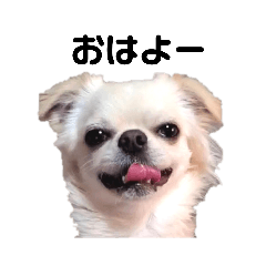 [LINEスタンプ] キキララルルすたんぷ