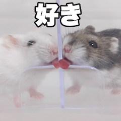 [LINEスタンプ] 絹毛のハム5 ver.蘭丸