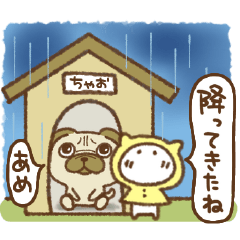 [LINEスタンプ] 雨の日のねこっち