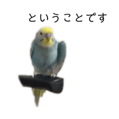 [LINEスタンプ] ちる②