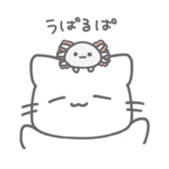 [LINEスタンプ] ゆるネコ‼︎ 第1弾