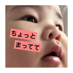 [LINEスタンプ] 髙橋家の日常☺︎☺︎