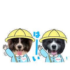 [LINEスタンプ] 秋田犬 文乃