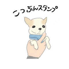 [LINEスタンプ] スムースチワワのこつぶん