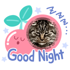 [LINEスタンプ] 素敵なあいさつ8スタンプ