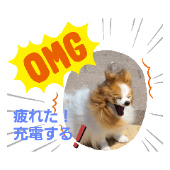 [LINEスタンプ] ぱぴぱぴパピヨン74