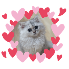 [LINEスタンプ] メルちゃんスタンプ✩