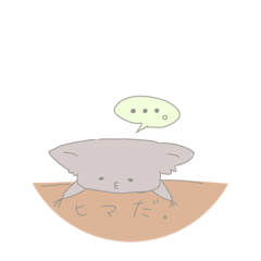 [LINEスタンプ] なにこの生物〜！