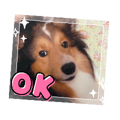 [LINEスタンプ] こいはるスタンプの巻1
