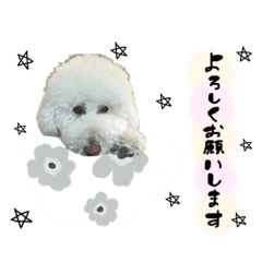[LINEスタンプ] スタンプーロックの日常会話