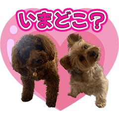 [LINEスタンプ] 苺豆蔵スタンプ