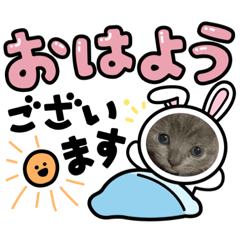 [LINEスタンプ] 5 Baby cat