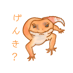 [LINEスタンプ] 可愛いヤモリちゃんスタンプ