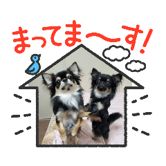 [LINEスタンプ] なにるんコンビ