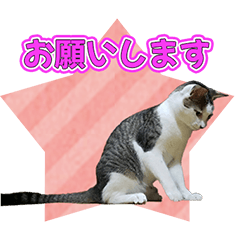 [LINEスタンプ] そら○スタンプ