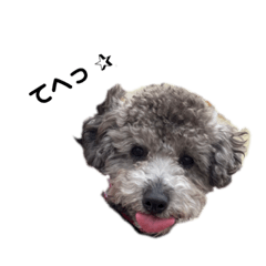 [LINEスタンプ] ごろもこれおスタンプ