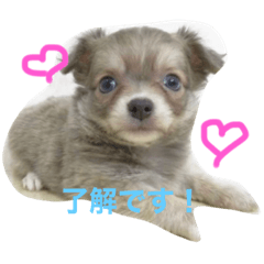 [LINEスタンプ] JERRY☺︎︎︎︎